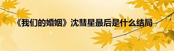《我們的婚姻》沈彗星最后是什么結局