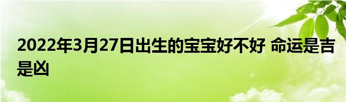 2022年3月27日出生的寶寶好不好 命運(yùn)是吉是兇