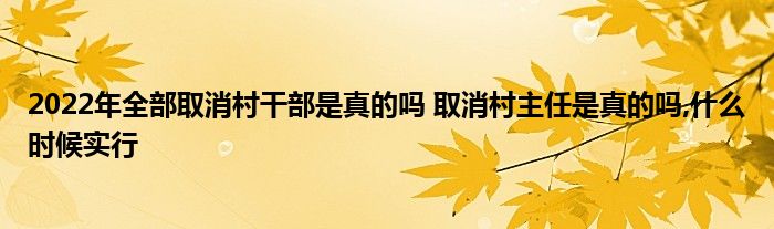 2022年全部取消村干部是真的嗎 取消村主任是真的嗎,什么時候?qū)嵭?class='thumb lazy' /></a>
		    <header>
		<h2><a  href=