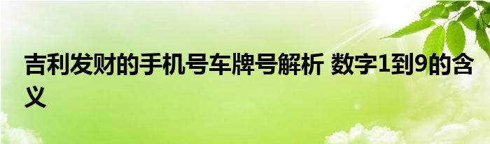 吉利發(fā)財(cái)?shù)氖謾C(jī)號(hào)車牌號(hào)解析 數(shù)字1到9的含義