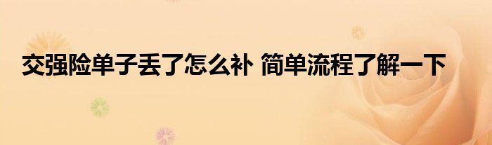 交強(qiáng)險單子丟了怎么補(bǔ) 簡單流程了解一下