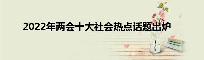 2022年兩會十大社會熱點(diǎn)話題出爐