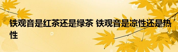 鐵觀音是紅茶還是綠茶 鐵觀音是涼性還是熱性