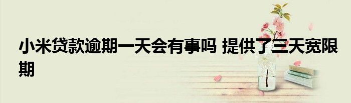 小米貸款逾期一天會有事嗎 提供了三天寬限期