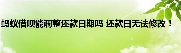 螞蟻借唄能調(diào)整還款日期嗎 還款日無法修改！