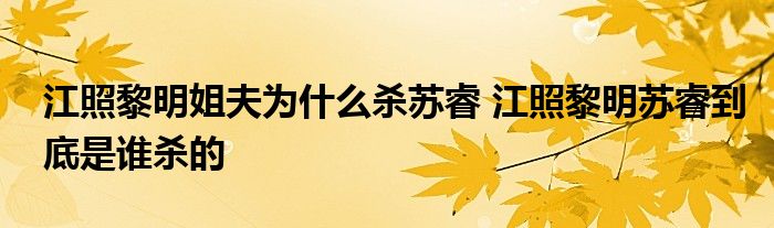 江照黎明姐夫?yàn)槭裁礆⑻K睿 江照黎明蘇睿到底是誰殺的