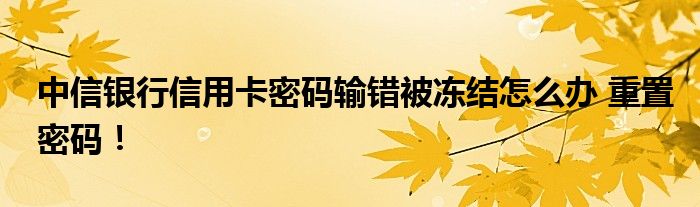 中信銀行信用卡密碼輸錯(cuò)被凍結(jié)怎么辦 重置密碼！