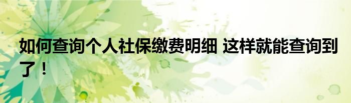 如何查詢個人社保繳費明細 這樣就能查詢到了!