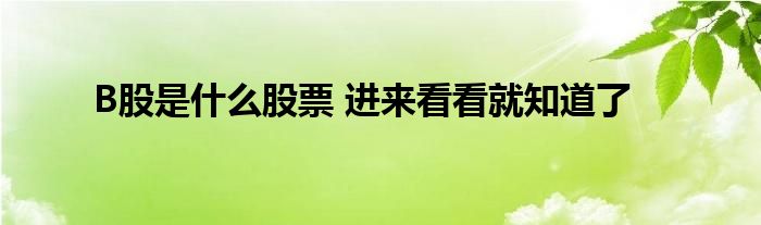 B股是什么股票 進來看看就知道了
