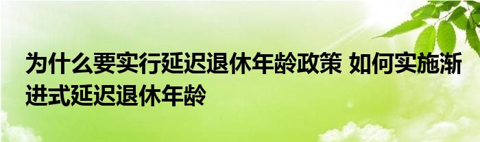為什么要實(shí)行延遲退休年齡政策 如何實(shí)施漸進(jìn)式延遲退休年齡