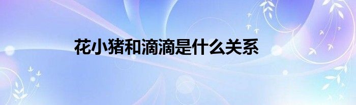 花小豬和滴滴是什么關(guān)系 