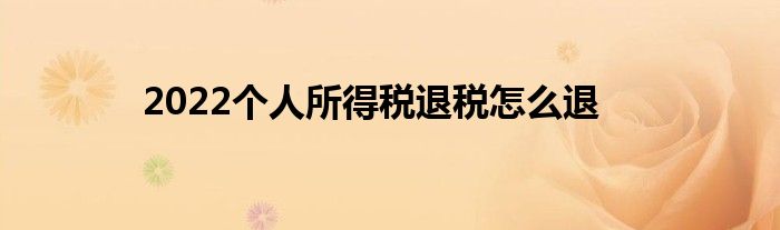 2022個人所得稅退稅怎么退