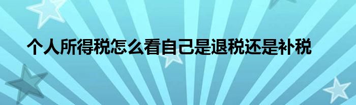 個人所得稅怎么看自己是退稅還是補(bǔ)稅