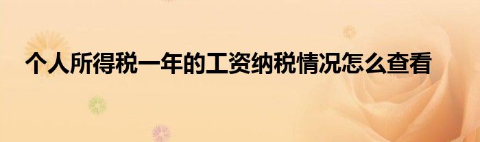 個人所得稅一年的工資納稅情況怎么查看