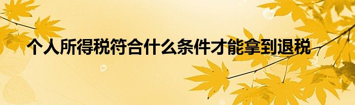 個人所得稅符合什么條件才能拿到退稅