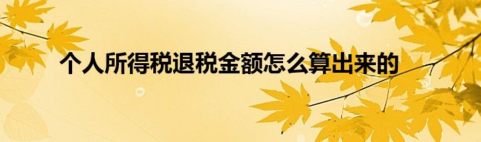 個人所得稅退稅金額怎么算出來的