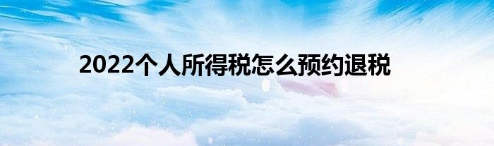 2022個(gè)人所得稅怎么預(yù)約退稅