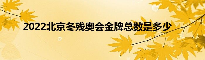 2022北京冬殘奧會(huì)金牌總數(shù)是多少