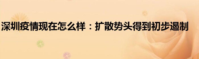深圳疫情現在怎么樣：擴散勢頭得到初步遏制