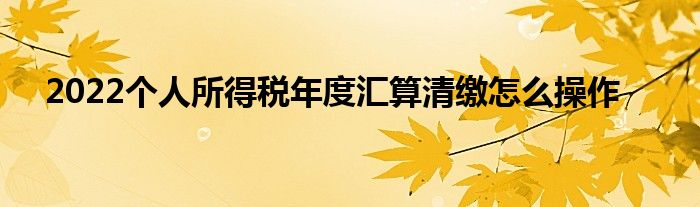 2022個人所得稅年度匯算清繳怎么操作
