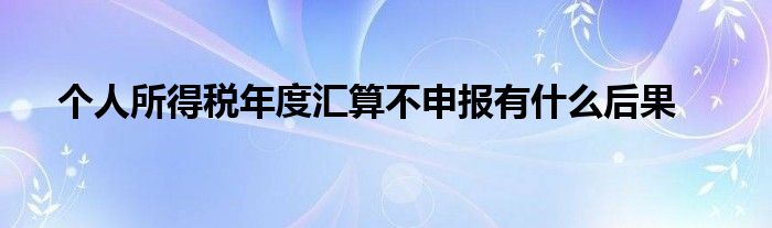 個人所得稅年度匯算不申報(bào)有什么后果
