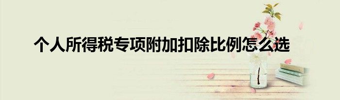 個人所得稅專項(xiàng)附加扣除比例怎么選