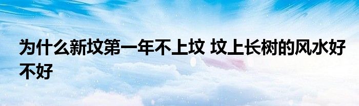 為什么新墳第一年不上墳 墳上長(zhǎng)樹(shù)的風(fēng)水好不好