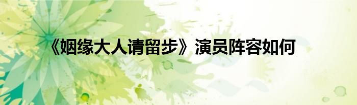 《姻緣大人請(qǐng)留步》演員陣容如何