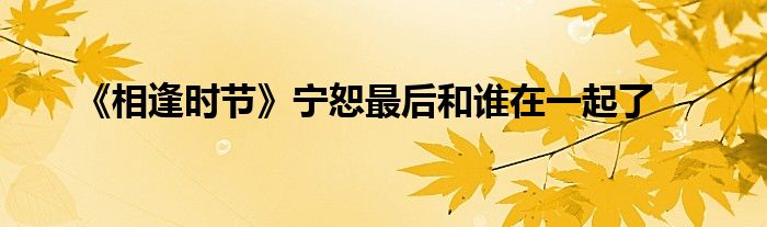 《相逢時(shí)節(jié)》寧恕最后和誰在一起了