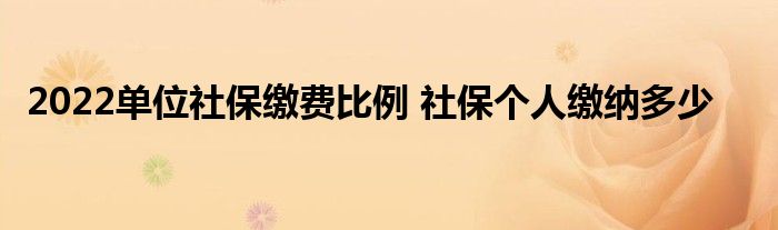 2022單位社保繳費(fèi)比例 社保個人繳納多少