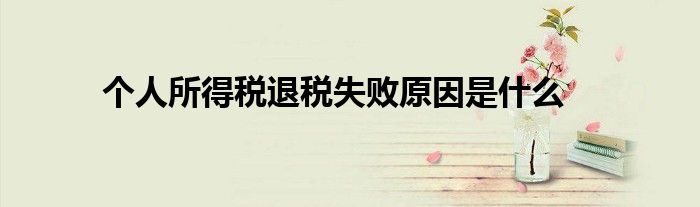 個(gè)人所得稅退稅失敗原因是什么