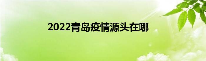 2022青島疫情源頭在哪