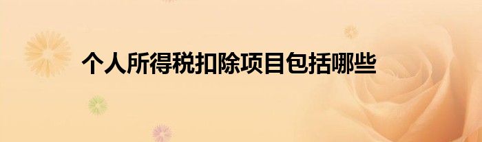 個(gè)人所得稅扣除項(xiàng)目包括哪些