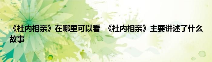 《社內相親》在哪里可以看  《社內相親》主要講述了什么故事
