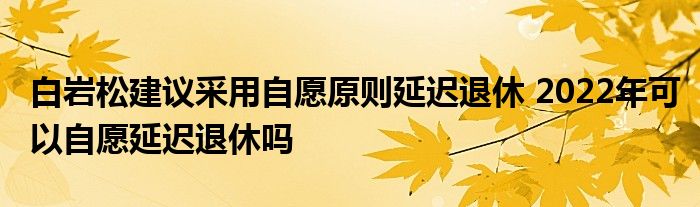 白巖松建議采用自愿原則延遲退休 2022年可以自愿延遲退休嗎
