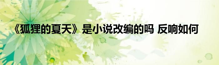 《狐貍的夏天》是小說改編的嗎 反響如何