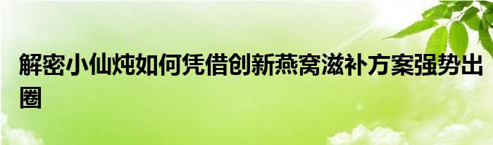 解密小仙燉如何憑借創(chuàng)新燕窩滋補(bǔ)方案強(qiáng)勢(shì)出圈