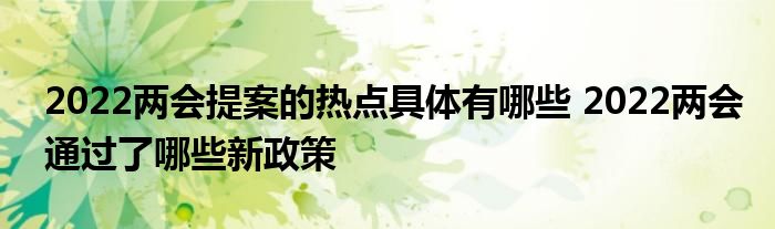 2022兩會提案的熱點具體有哪些 2022兩會通過了哪些新政策