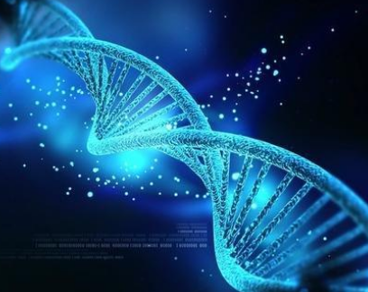 3月5日研究確定了通過基因操作提高 SC-β 細胞存活率的新方法