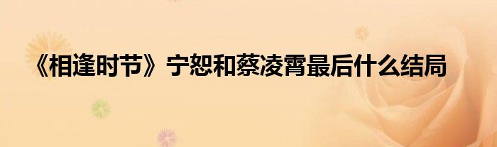 《相逢時(shí)節(jié)》寧恕和蔡凌霄最后什么結(jié)局