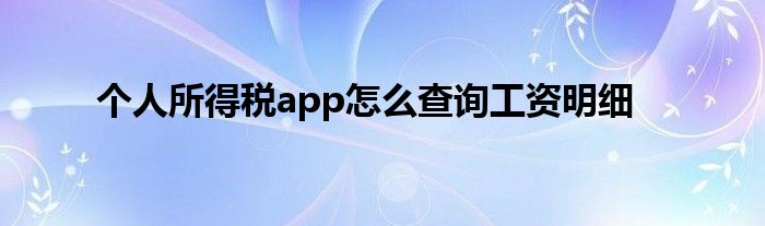 個人所得稅app怎么查詢工資明細(xì)