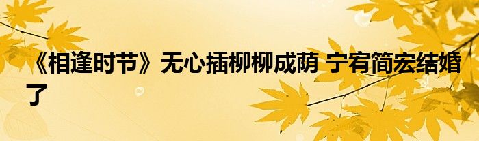 《相逢時節(jié)》無心插柳柳成蔭 寧宥簡宏結(jié)婚了