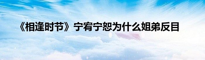 《相逢時節(jié)》寧宥寧恕為什么姐弟反目