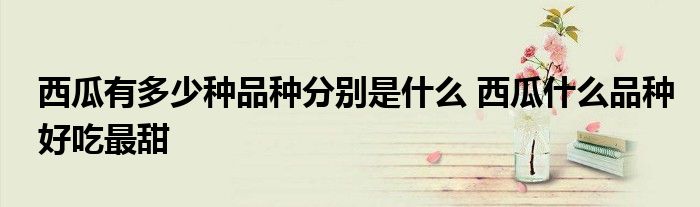 西瓜有多少種品種分別是什么 西瓜什么品種好吃最甜
