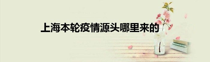 上海本輪疫情源頭哪里來的