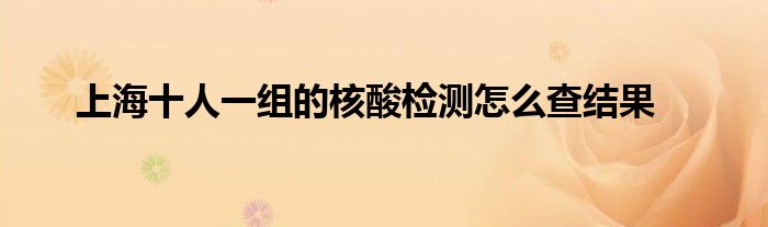 上海十人一組的核酸檢測(cè)怎么查結(jié)果