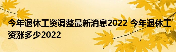 今年退休工資調(diào)整最新消息2022 今年退休工資漲多少2022