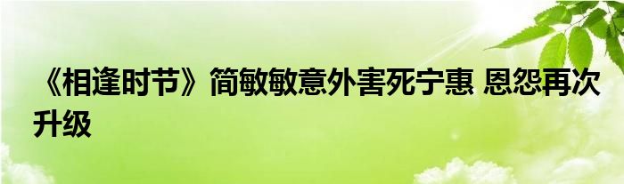《相逢時(shí)節(jié)》簡(jiǎn)敏敏意外害死寧惠 恩怨再次升級(jí)