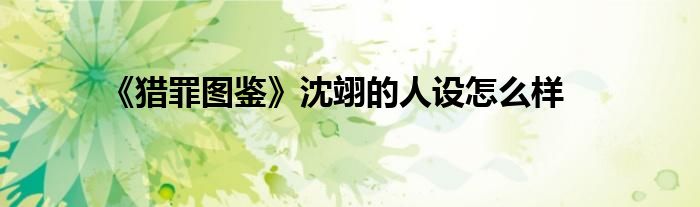 《獵罪圖鑒》沈翊的人設怎么樣