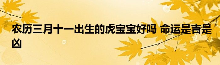 農(nóng)歷三月十一出生的虎寶寶好嗎 命運(yùn)是吉是兇